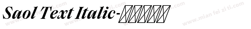 Saol Text Italic字体转换
